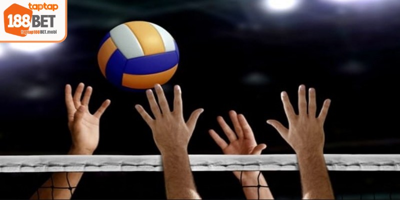 Cá cược bóng chuyền đang trở thành một trong những lựa chọn hàng đầu