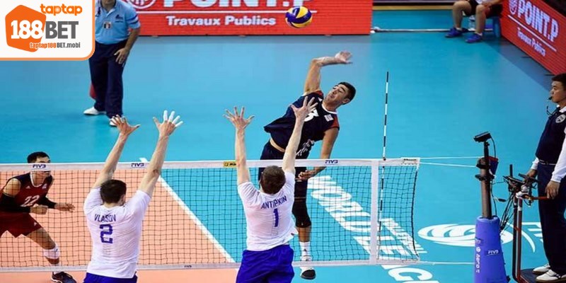 Những hình thức cá cược bóng chuyền phổ biến dành cho bạn