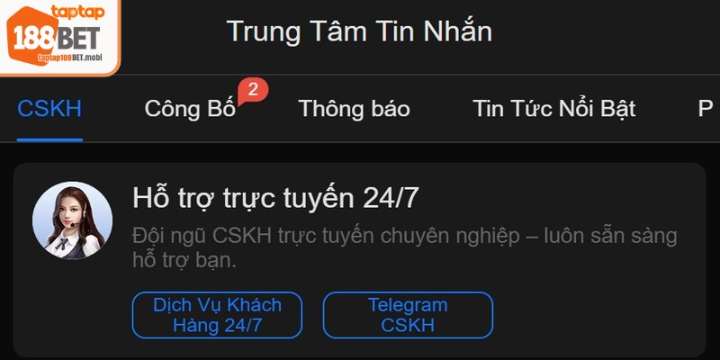 Nhân viên có trình độ cao, hỗ trợ 24/7 qua chat trực tuyến